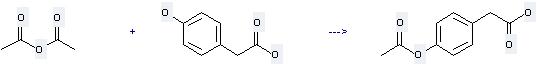 The Benzeneacetic acid, 4-(acetyloxy)- can be obtained by (4-Hydroxy-phenyl)-acetic acid and Acetic acid anhydride.